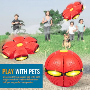 Flying Saucer Pet Ball™