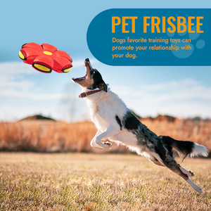 Flying Saucer Pet Ball™